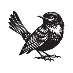 Eastern bluebird Silhouette - Eastern bluebird Vector - Illustration of Eastern bluebird - Eastern bluebird Black and white Art.