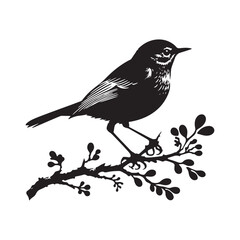 Eastern bluebird Silhouette - Eastern bluebird Vector - Illustration of Eastern bluebird - Eastern bluebird Black and white Art.