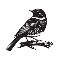 Eastern bluebird Silhouette - Eastern bluebird Vector - Illustration of Eastern bluebird - Eastern bluebird Black and white Art.