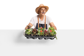 Gardener holding flower pots behind a white panel