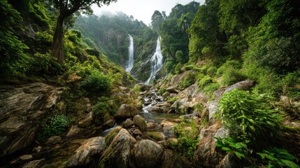 Lush rainforest scenery featuring cascading waterfalls.