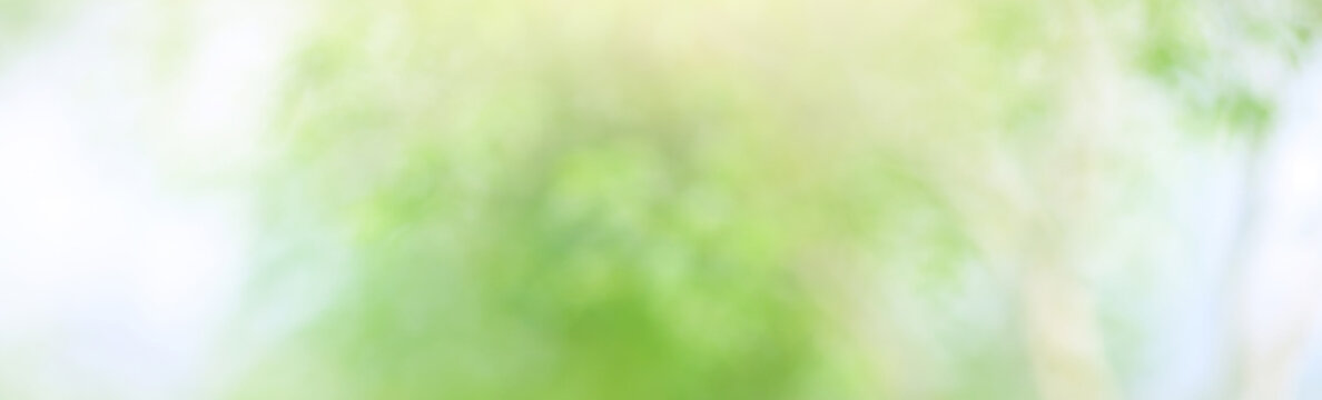 Green Leaf background. Blurred leaves and circular bokeh. Abstract wallpaper for backdrop and design