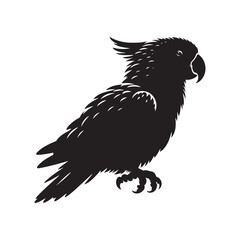 Eclectus Parrot Silhouette - Minimalist Parrot Vector - Black and White Parrot Illustration.