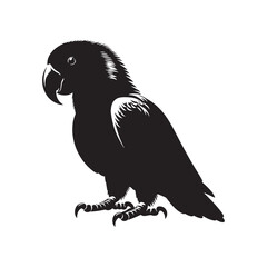 Eclectus Parrot Silhouette - Minimalist Parrot Vector - Black and White Parrot Illustration.