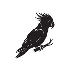 Eclectus Parrot Silhouette - Minimalist Parrot Vector - Black and White Parrot Illustration.