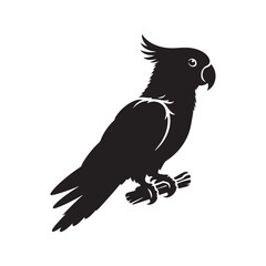 Eclectus Parrot Silhouette - Minimalist Parrot Vector - Black and White Parrot Illustration.
