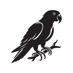 Eclectus Parrot Silhouette - Minimalist Parrot Vector - Black and White Parrot Illustration.