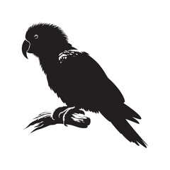Eclectus Parrot Silhouette - Minimalist Parrot Vector - Black and White Parrot Illustration.