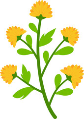 Vector flat illustration of organic spring flowers with soft colors. Perfect for invitations, packaging, branding, greeting cards, and decorative seasonal designs.