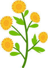 Obraz premium Vector flat illustration of organic spring flowers with soft colors. Perfect for invitations, packaging, branding, greeting cards, and decorative seasonal designs.