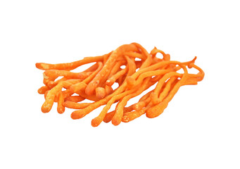 cordyceps militaris mushroom transparent png