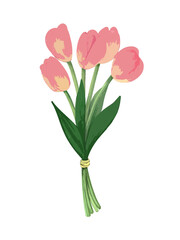 hand-painted Tulip Bouquet – Soft Brush Style/ pink tulips – spring floral illustration / mother's day illustration