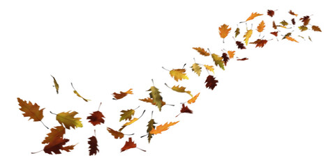 Trail of flying autumn leaves with motion blur effect isolated on transparent background