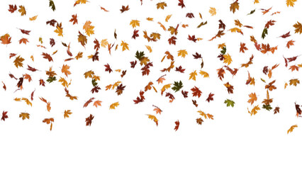 Falling autumn leaves with motion blur effect on transparent background