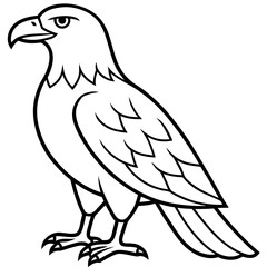 Minimalist Eagle Line Art Vector