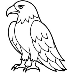 Minimalist Eagle Line Art Vector