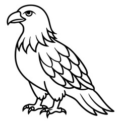 Minimalist Eagle Line Art Vector