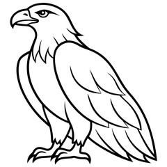 Minimalist Eagle Line Art Vector