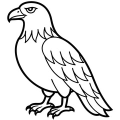 Obraz premium Minimalist Eagle Line Art Vector