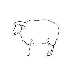 Obraz premium lamb