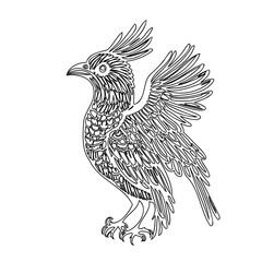 Line Art Illustration: Exotic Bird with Crest Detail