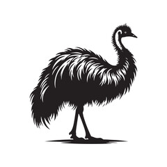 Emu Silhouette - Emu minimal vector - Emu Black and White design - Emu Illustration.