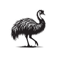 Emu Silhouette - Emu minimal vector - Emu Black and White design - Emu Illustration.
