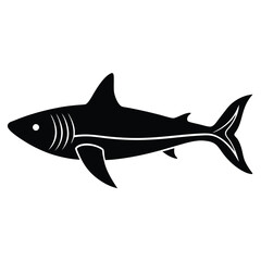 shark vector illustration