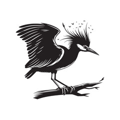 Black-crowned night heron Silhouette - Vector of Black-crowned night heron - Minimal Black-crowned night heron Illustration.
