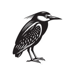 Black-crowned night heron Silhouette - Vector of Black-crowned night heron - Minimal Black-crowned night heron Illustration.