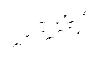 Flying birds silhouette flock. hand drawing. Not AI. Vector illustration.