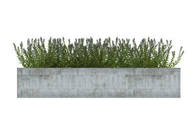 green grass bush with flower in plant pot on a white background