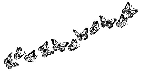 Flying butterflies. Vector illustration design for t-shirt graphics, fashion prints, slogan tees, stickers, cards, posters and other creative purposes. © Tetiana Komarytska