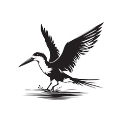 Black skimmer Silhouette - Black skimmer Art - Minimal Black skimmer Vector - Black skimmer illustration.