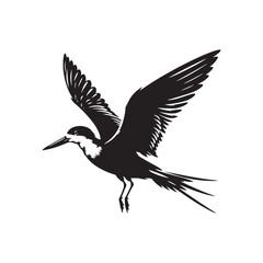 Black skimmer Silhouette - Black skimmer Art - Minimal Black skimmer Vector - Black skimmer illustration.