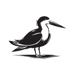Black skimmer Silhouette - Black skimmer Art - Minimal Black skimmer Vector - Black skimmer illustration.