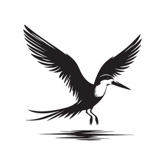 Black skimmer Silhouette - Black skimmer Art - Minimal Black skimmer Vector - Black skimmer illustration.