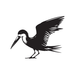 Black skimmer Silhouette - Black skimmer Art - Minimal Black skimmer Vector - Black skimmer illustration.