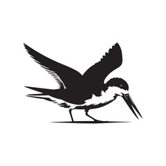 Black skimmer Silhouette - Black skimmer Art - Minimal Black skimmer Vector - Black skimmer illustration.