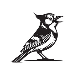Minimalist Blue Jay Bird Silhouette - Vector of Blue jay bird - Blue jay Illustration - Blue jay black and white design.
