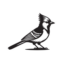 Minimalist Blue Jay Bird Silhouette - Vector of Blue jay bird - Blue jay Illustration - Blue jay black and white design.