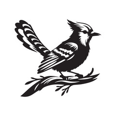 Minimalist Blue Jay Bird Silhouette - Vector of Blue jay bird - Blue jay Illustration - Blue jay black and white design.
