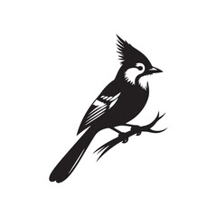 Minimalist Blue Jay Bird Silhouette - Vector of Blue jay bird - Blue jay Illustration - Blue jay black and white design.