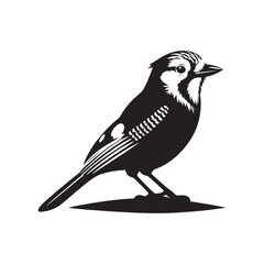 Minimalist Blue Jay Bird Silhouette - Vector of Blue jay bird - Blue jay Illustration - Blue jay black and white design.
