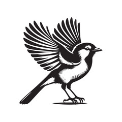 Minimalist Blue Jay Bird Silhouette - Vector of Blue jay bird - Blue jay Illustration - Blue jay black and white design.