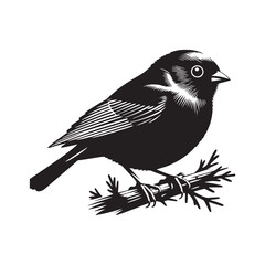 Dark-eyed junco Vector Silhouette - Black and White  Dark-eyed junco Illustration - Dark-eyed junco bird art.