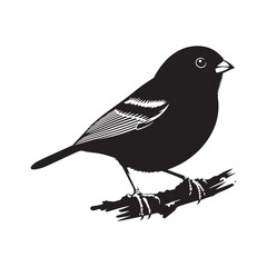 Dark-eyed junco Vector Silhouette - Black and White  Dark-eyed junco Illustration - Dark-eyed junco bird art.