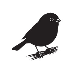 Dark-eyed junco Vector Silhouette - Black and White  Dark-eyed junco Illustration - Dark-eyed junco bird art.