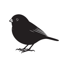 Dark-eyed junco Vector Silhouette - Black and White  Dark-eyed junco Illustration - Dark-eyed junco bird art.