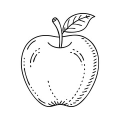 apple icon, apple vector illustration-simple illustration of apple, perfect for apple logos and icons